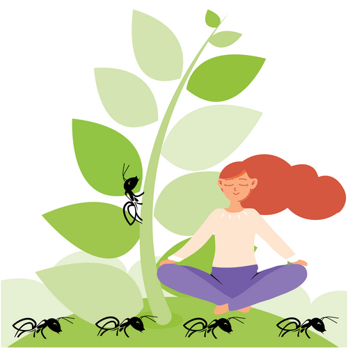 STOP THE ANTS (Automatic Negative Thoughts): Clear Mind Coaching