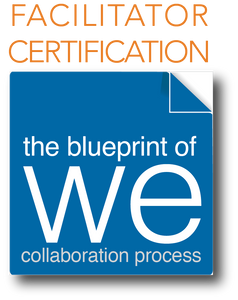 Blueprint of We/Collaborative Brain Toolkit 8 Session VIRTUAL Facilitator Certification - Foundation Level