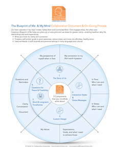 FREE: Visual Introduction to the Blueprint of Me & My Mind and the 5 Components